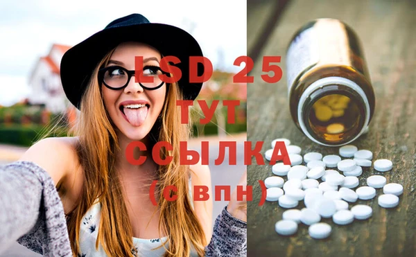 шишки Липки