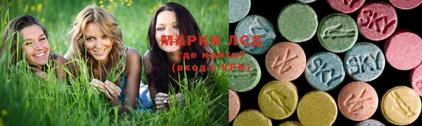 не бодяженный Ладушкин