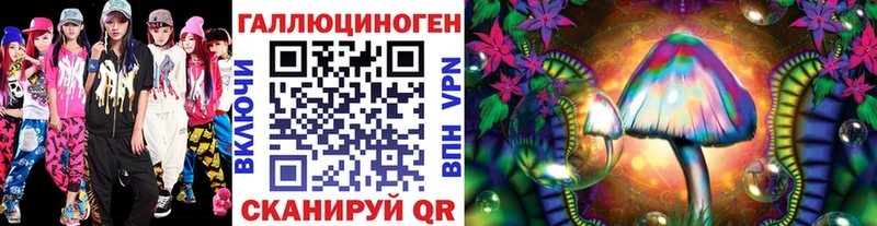 Галлюциногенные грибы Psilocybe  купить наркотики сайты  Ноябрьск 
