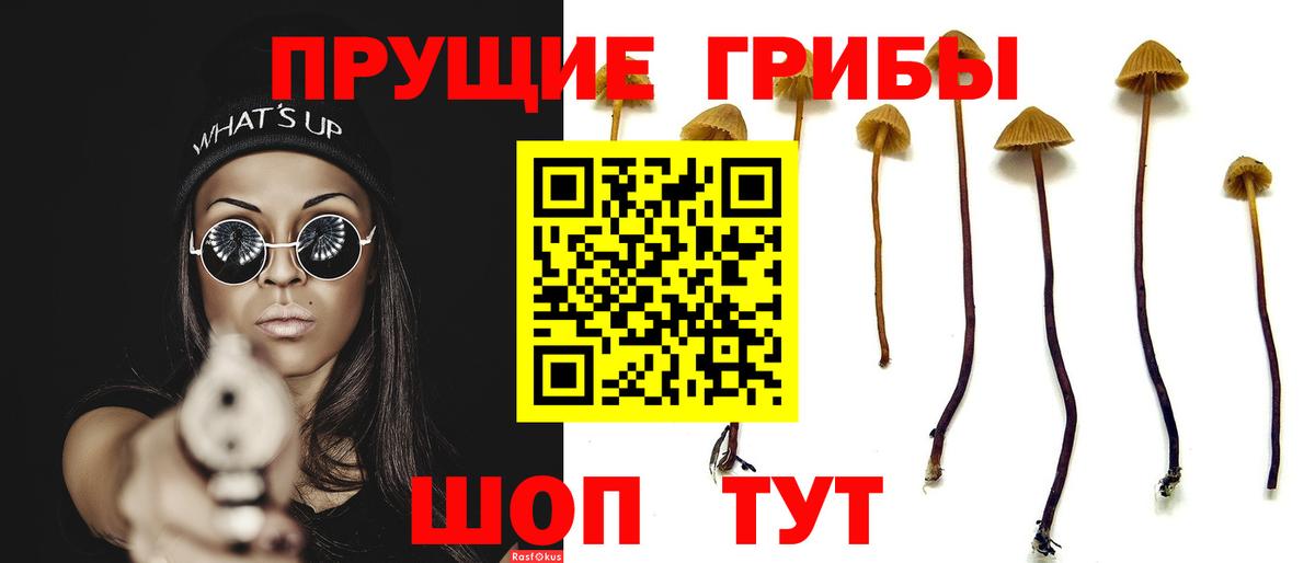 Ноябрьск  Конопля  Вход с VPN  ЭКСТАЗИ  A PVP СК кристаллы  Меф МЯУ МЯУ   Гашиш  КОКАИН 