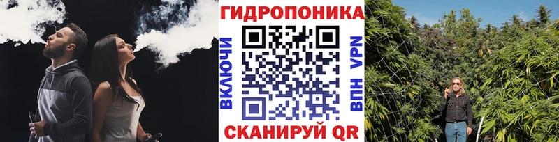 omg зеркало  Ноябрьск  МАРИХУАНА SATIVA & INDICA  закладки 